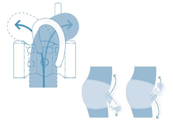 Reproductive system of the adolescent