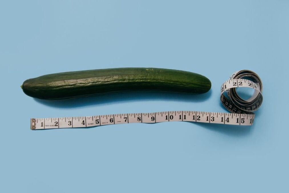 Measurement of the size of the penis with the example of a cucumber